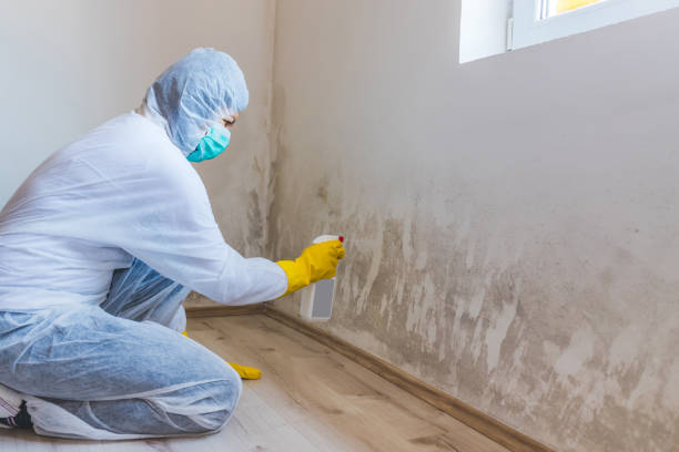 Licensed Mold Testing service in Plano, IL - WQB Mold Removal