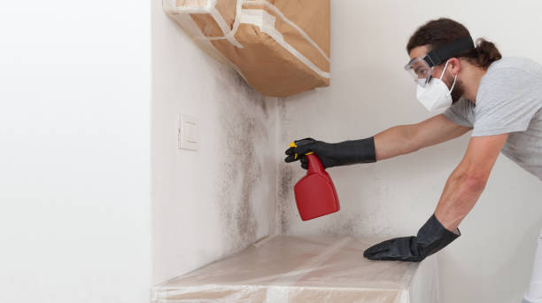 Professional Mold Testing technician working in Plano, IL