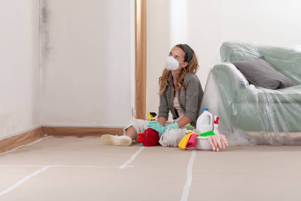Reliable Mold Testing contractor in Plano, IL by WQB Mold Removal